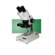 Microscopio estereoscopio Microscopio estereoscopio